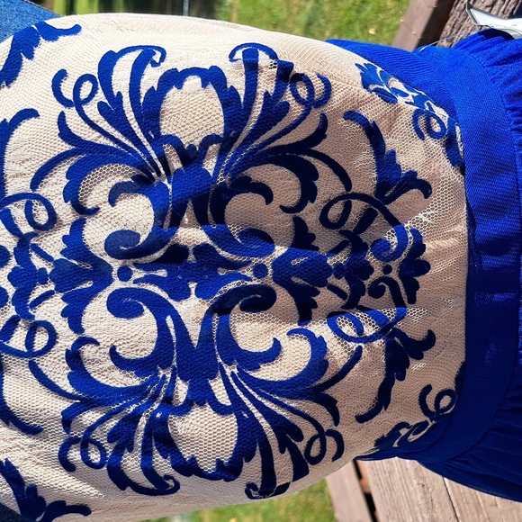 Blondie Electric Blue Tulle and Lace Dress - Picture 3 of 10